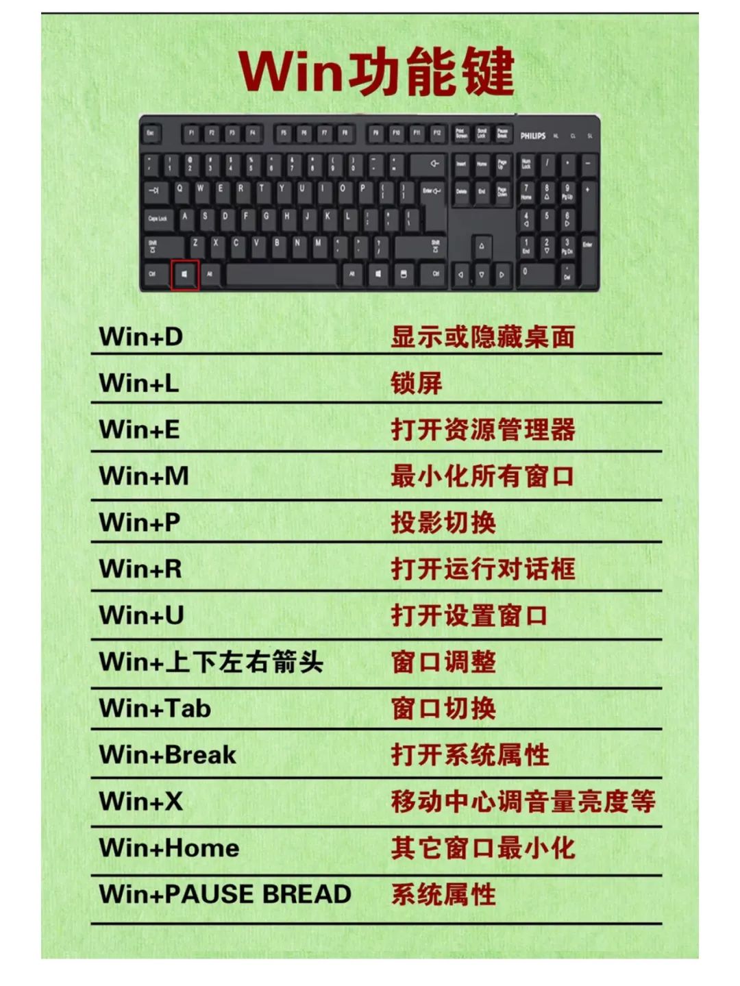 电脑office操作技能学习，办公软件最全快捷键汇总（零基础学键盘键位功能）,电脑office操作技能学习，办公软件最全快捷键汇总（零基础学键盘键位功能） - 吾搜资源网,电脑,第2张