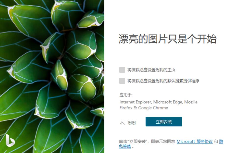 必应壁纸 Bing Wallpaper v2.0.0.6,必应壁纸 Bing Wallpaper v2.0.0.6 - 吾搜资源网,Bing Wallpaper,第1张
