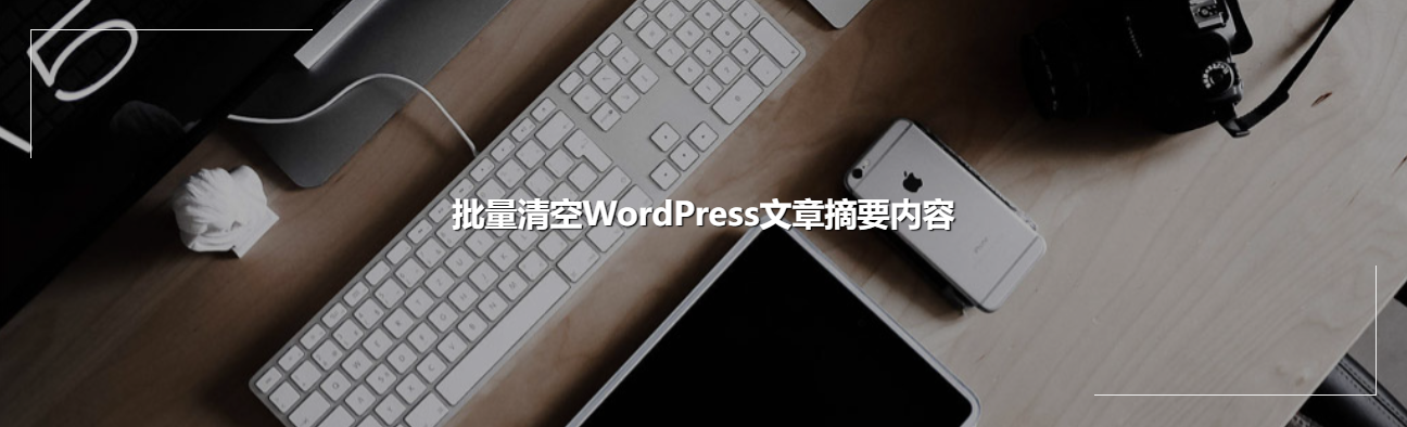 批量清空WordPress文章摘要内容,批量清空WordPress文章摘要内容 - 吾搜资源网,WordPress,第1张